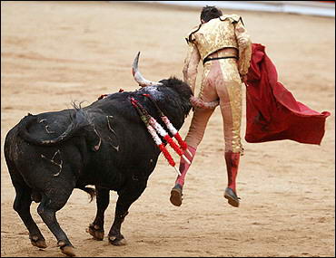 99_bullfight.jpg