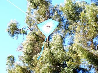 Kite-06