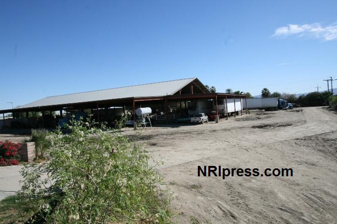 Punjab_Farm-1000-001