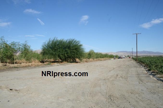 Punjab_Farm-1005-032