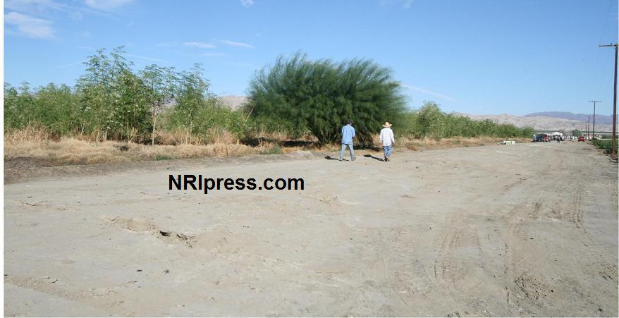 Punjab_Farm-1007-035