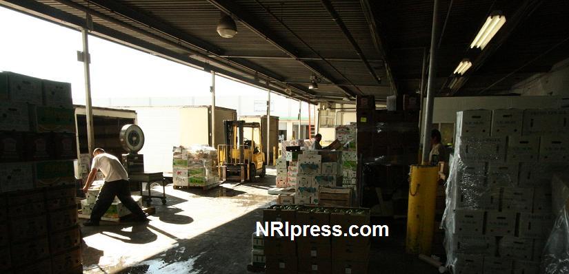 Punjab_Farm-1030-088