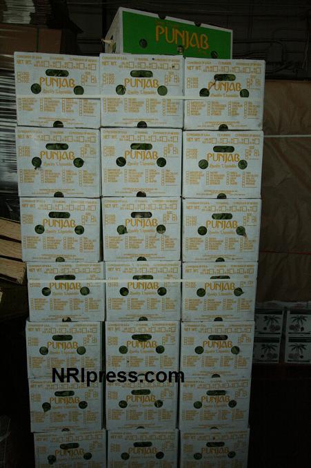 Punjab_Farm-1037-087