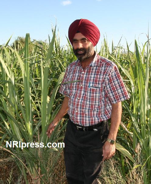 Punjab_Farm-802-059