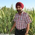 Punjab_Farm-802-059