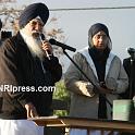 Riverside_Gurdwara_Nagar_Kirtan-325