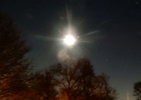 GURU-GOBIND-SINGH-JEE'S-360TH-PARKASH-AAGMUN_12