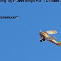 Tiger_Jeet-IMG_5819