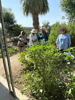 PHOTO-2025-07-16-11-39-28_2